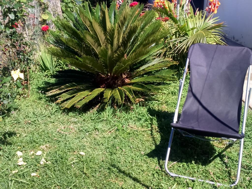 Canto Da Manu Estreito Da Calheta Екстериор снимка